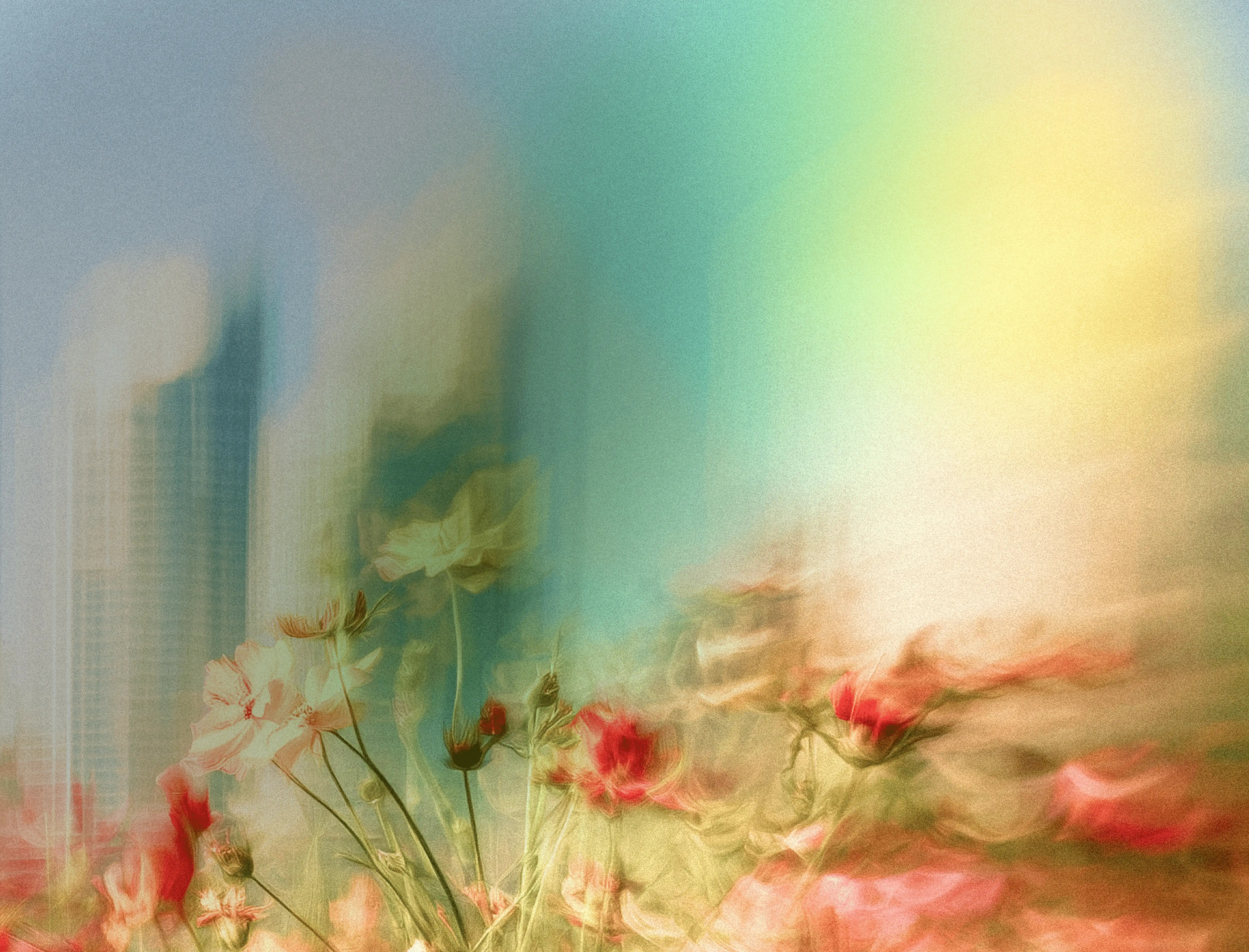 Dreamy soft-focus photo of wildflowers blooming in front of city skyscrapers